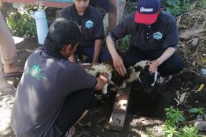 IMG-20220913-WA0027 IMG-20220913-WA0027