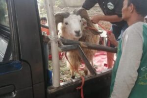 IMG-20220913-WA0038 IMG-20220913-WA0038