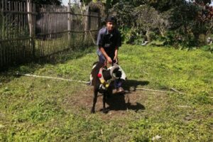 IMG-20220913-WA0039 IMG-20220913-WA0039