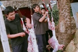 IMG-20220913-WA0042 IMG-20220913-WA0042