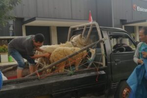 IMG-20220913-WA0053 IMG-20220913-WA0053