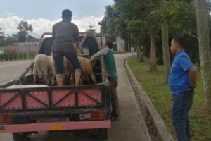 IMG-20220913-WA0054 IMG-20220913-WA0054