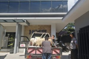 IMG-20220913-WA0055 IMG-20220913-WA0055