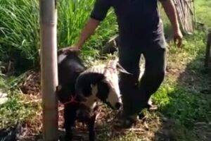 IMG-20220913-WA0058 IMG-20220913-WA0058