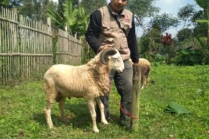 IMG-20220913-WA0060 IMG-20220913-WA0060