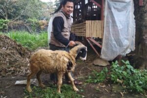 IMG-20220913-WA0061 IMG-20220913-WA0061