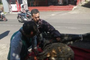 IMG-20220913-WA0064 IMG-20220913-WA0064