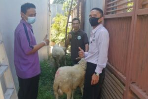 IMG-20220913-WA0065 IMG-20220913-WA0065