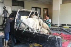 IMG-20220913-WA0066 IMG-20220913-WA0066