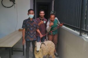 IMG-20220913-WA0070 IMG-20220913-WA0070