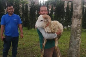 IMG-20220913-WA0072 IMG-20220913-WA0072