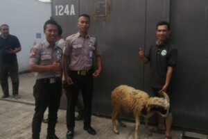 IMG-20220913-WA0074 IMG-20220913-WA0074